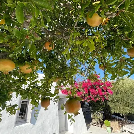 Villa Mikro Chorio Kostos