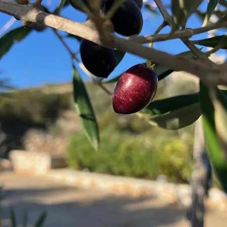 Villa Mikro Chorio *